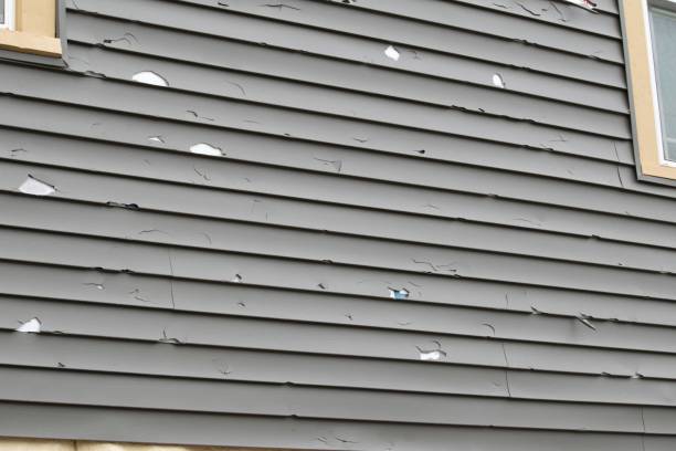 Reliable Advance, MO Siding Installation & Repair Solutions